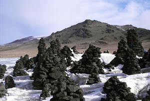 Каменный лес