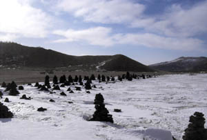 Каменный лес