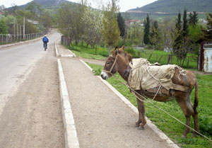 Автобусная остановка